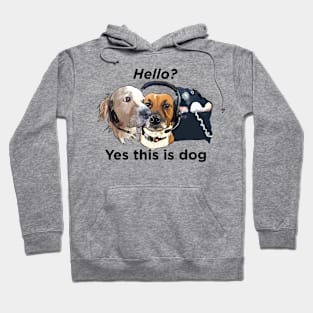 Dogs: Hello, yes this is dog - Black text Hoodie